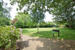 The Orchard- click for photo gallery